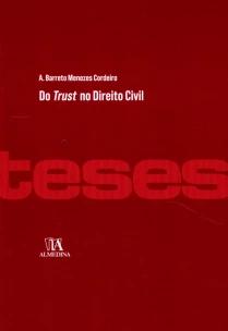 Do Trust no Direito Civil